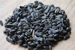 black-oiled sunflower seeds