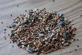 mixed-birdseed