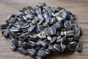 striped sunflower seeds